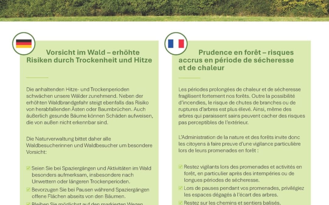 Vorsicht im Wald / Prudence en forêt