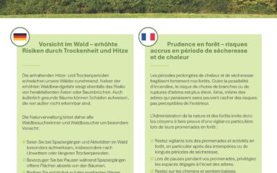 Vorsicht im Wald / Prudence en forêt