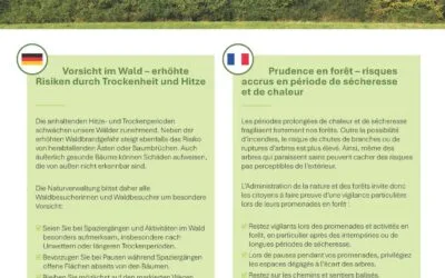 Vorsicht im Wald / Prudence en forêt